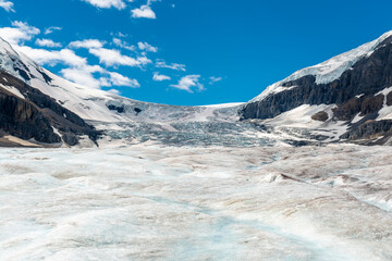 Athabasca glacier in summer, Banff and Jasper national park, Canadian Rockies, Canada.