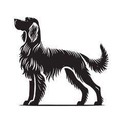 Precision-crafted Irish Setter silhouette for designers and artists - Irish Setter illustration - minimal Irish Setter vector - dog silhouette
