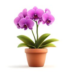Elegant Pink Orchids in a Terracotta Pot