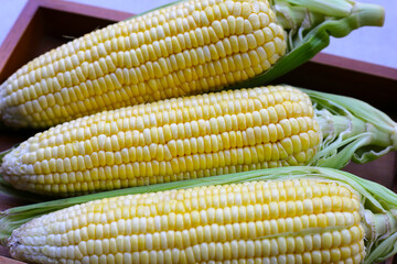 Sweet corn, Fresh yellow corn