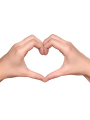 Fototapeta premium heart in hands