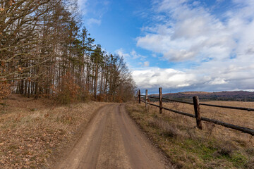 A dirt road in the hills. Early spring. Czechia