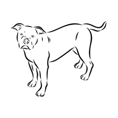 Alapaha Blue Blood Bulldog silhouette design