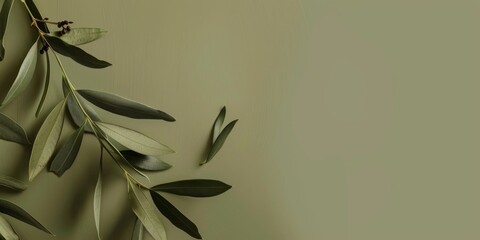 A minimalist design with a light olive background, Smooth lines and earthy tones, Modern minimalist style