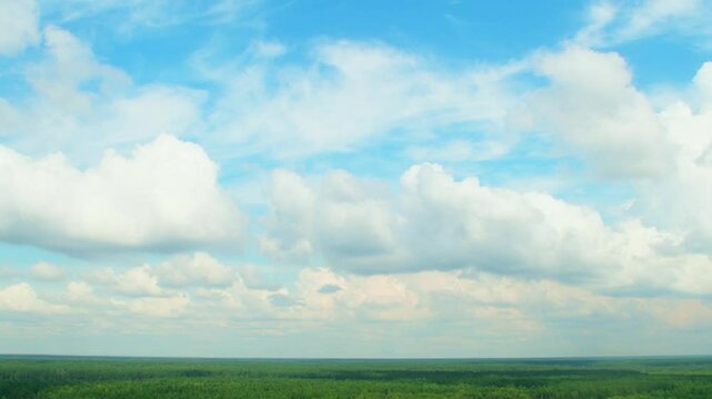 Sky above a green forest. White cumulus clouds move above the trees leaving shadows on the ground.