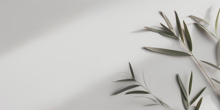 A minimalist design with a light silver background, Clean lines and delicate textures, Modern minimalist style