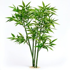 Fototapeta premium Lush Green Bamboo Plant Isolated on White Background for Modern Interior Design and Natural Decor Ideas
