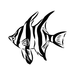 stickleback fish, vector sketch fish line ink sketch. Hand drawn