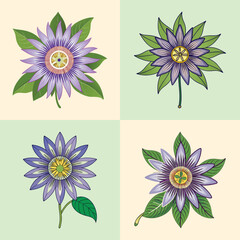 Passion flower illustration with pastel background - A colorful illustration of Passion flowers in shades of purple and yellow, set against soft pastel-colored backgrounds.

