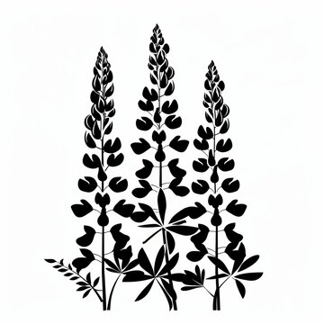 black lupine flowers on white background clip art preview