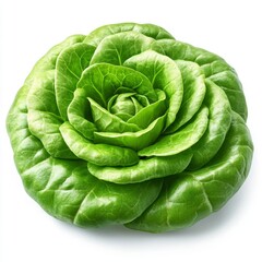 Obraz premium A fresh green lettuce head with crisp leaves, isolated on a white background, symbolizing healthy eating, organic produce, and vegetarian nutrition.