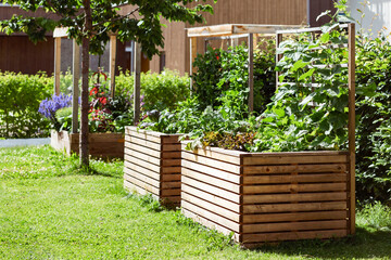 Raised Beds Garden for Growing Vegetables Herbs Flowers. Modern Garden Vegetable Patch in Urban...