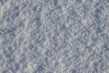 Minus Five Centigrades Snow