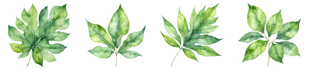 Watercolor Illustration, Green leaves, PNG set