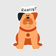 Surprised bulldog dog Sticker isolated background. Funny dog sticker and lettering Really. Humorous picture for decoration in social networks, web design, logo. Image of a bulldog.