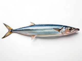 Fototapeta premium Crisp high-resolution image: a single saury fish isolated on a pure white background. Perfect for seafood menus or culinary websites.