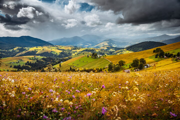 Fototapeta premium Gorgeous countryside and spacious grassy meadows among the mountains. Carpathian mountains, Ukraine, Europe.