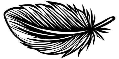 Stunning Feather Vector Art Illustrations