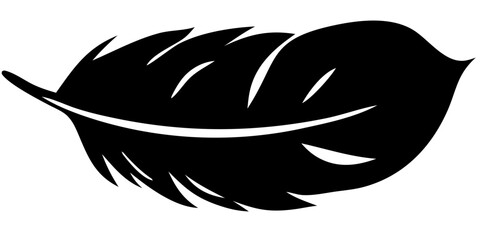 Stunning Feather Vector Art Illustrations