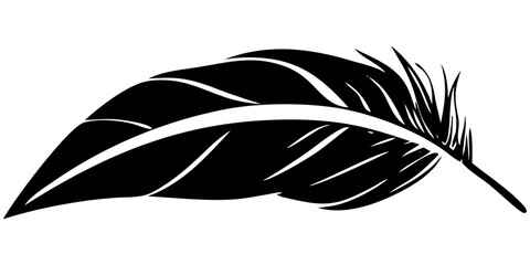 Obraz premium Stunning Feather Vector Art Illustrations
