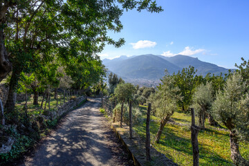 Hiking trail in the Serra de Tramuntana to the village of Biniaraix on the island of Majorca, Spain