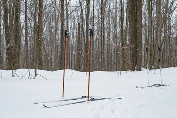 Allegheny state park NY USA February 9 2025; Cross country skeing trails, winter activities, fresh...
