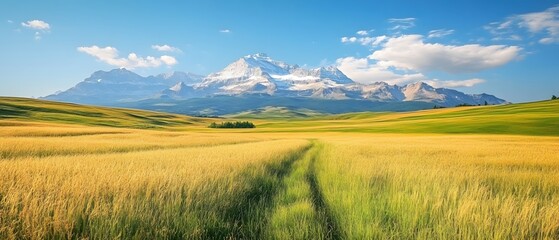 Obraz premium Majestic snowy mountain range overlooking golden wheat field under bright blue sky day
