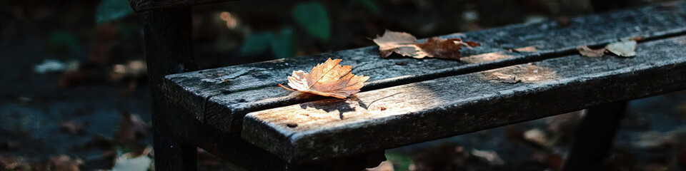 Dried Leaves on a Wooden Park Bench