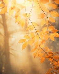 Golden autumn leaves on tree branches illuminated by warm sunlight, creating a soft and serene atmosphere  
