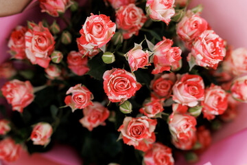 Beautiful pink roses background 