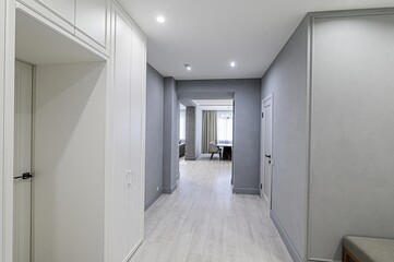 standard room interior apartment. room doors, renovation corridor lobby entrance hall