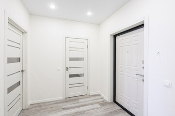 standard room interior apartment. room doors, renovation corridor lobby entrance hall