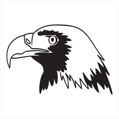 Steller's Sea Eagle – Powerful Predator of Coastal Regions