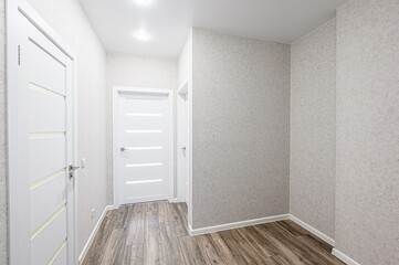 standard room interior apartment. room doors, renovation corridor lobby entrance hall