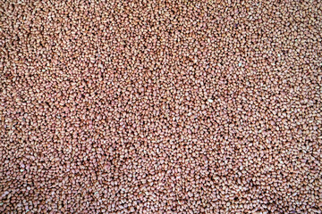 Peanut production factory. Sorting and packaging of peanuts. Tan Chau. Vietnam.