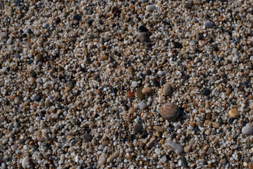 pebbles on the beach