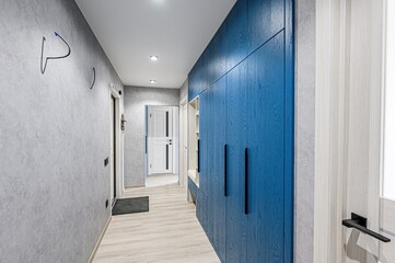 standard room interior apartment. room doors, renovation corridor lobby entrance hall