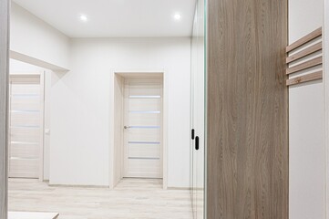 standard room interior apartment. room doors, renovation corridor lobby entrance hall