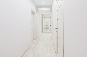 standard room interior apartment. room doors, renovation corridor lobby entrance hall