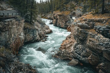 Raging River Flows Through Rocky Gorge Surrounded by Dense Forest Showcasing Nature's Power and Beauty
