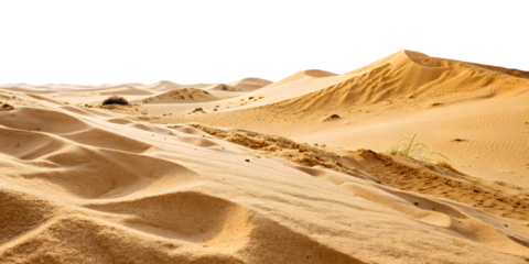 sand dunes in the desert isolated on white background
