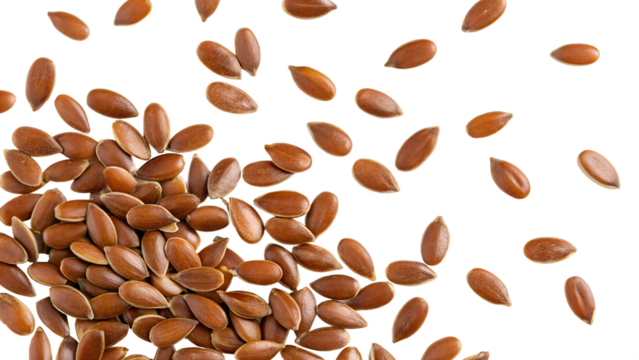 flax seeds isolated top view isolated on transparent background png