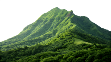 mountain landscape with trees