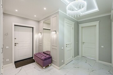 standard room interior apartment. room doors, renovation corridor lobby entrance hall
