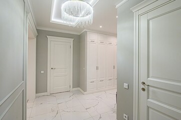 standard room interior apartment. room doors, renovation corridor lobby entrance hall