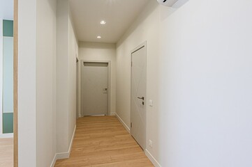 standard room interior apartment. room doors, renovation corridor lobby entrance hall