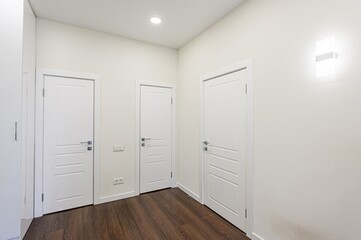 standard room interior apartment. room doors, renovation corridor lobby entrance hall