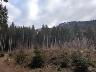 Trebević Mountain, Sarajevo
Trebević is the closest mountain that is reachable via the cable car...