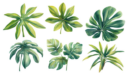 Tropical Watercolor Leaves Botanical Green Nature Illustration Set art palm lush dark fresh black   