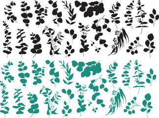 Eucalyptus silhouette vector set. Flat vector eucalyptus branch illustration, green Hand drawn eucalyptus, stickers leaf, eucalyptus foliage, herbs. 